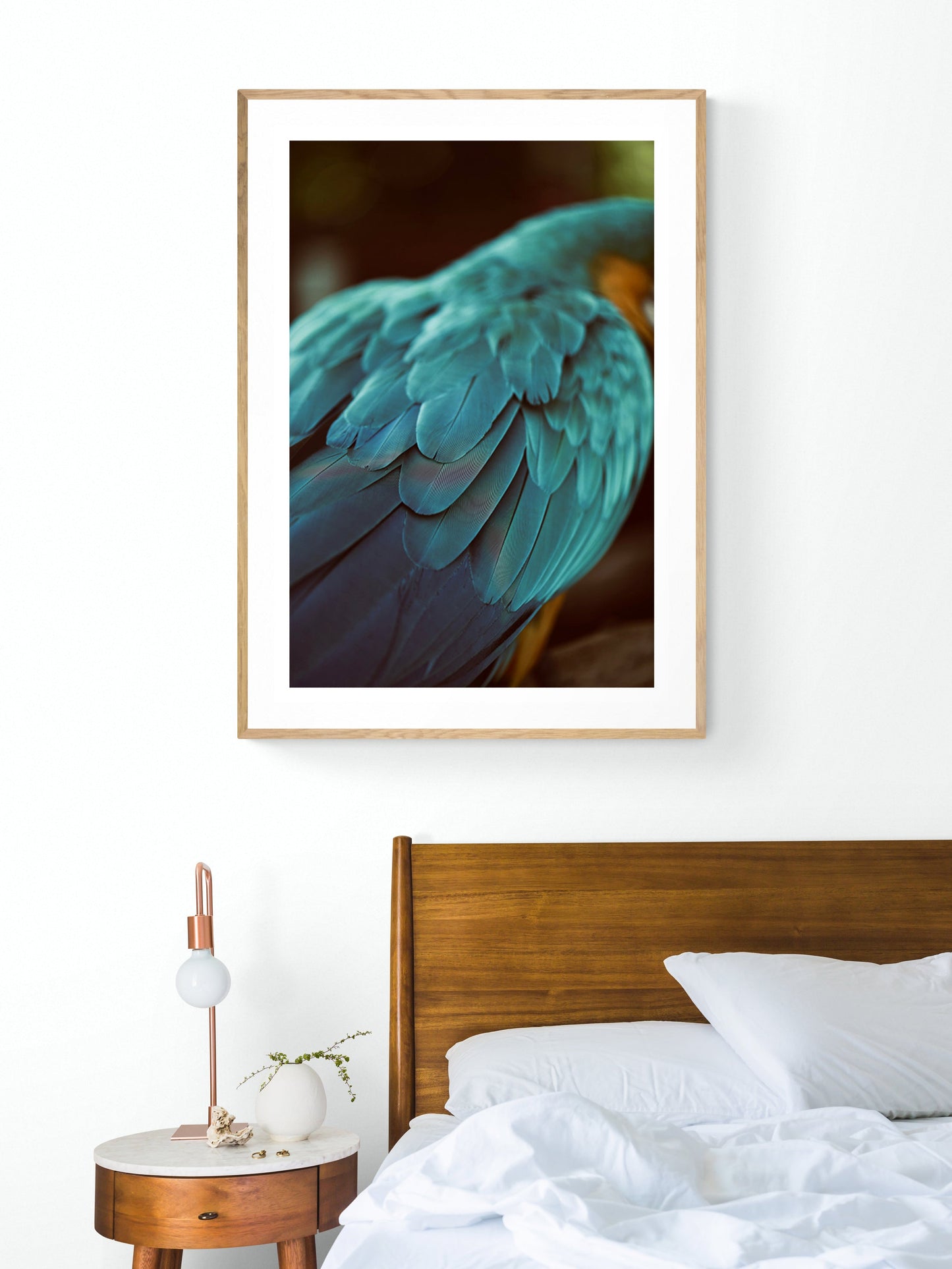 Blue Feathers #4 - Fine Art Photograph