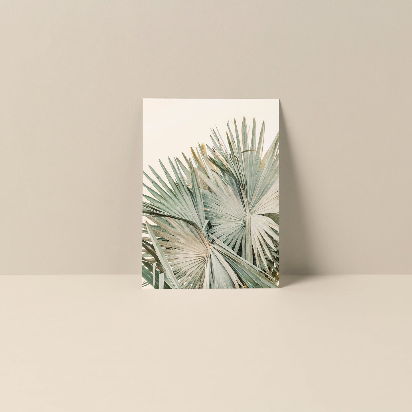 Blank Photography Note Card - Closer