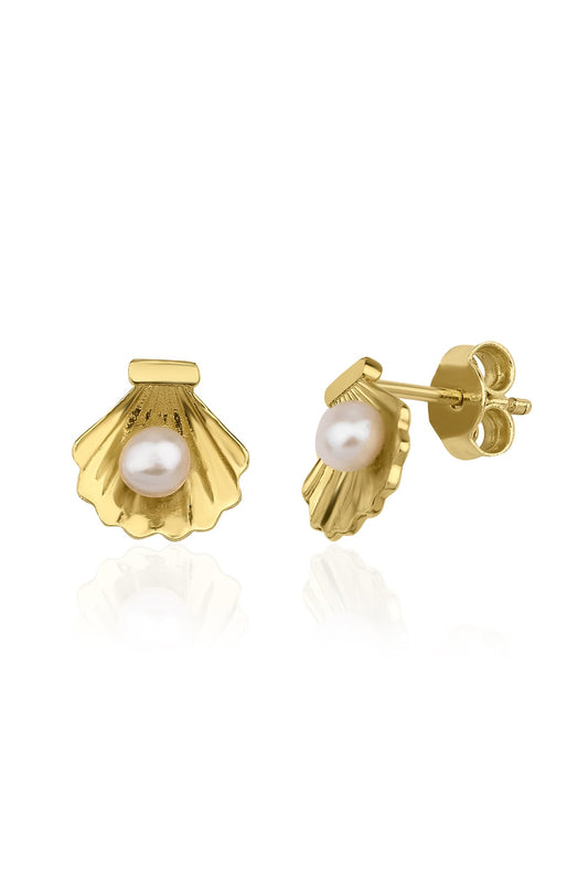 14K Gold Oyster Stud Earrings