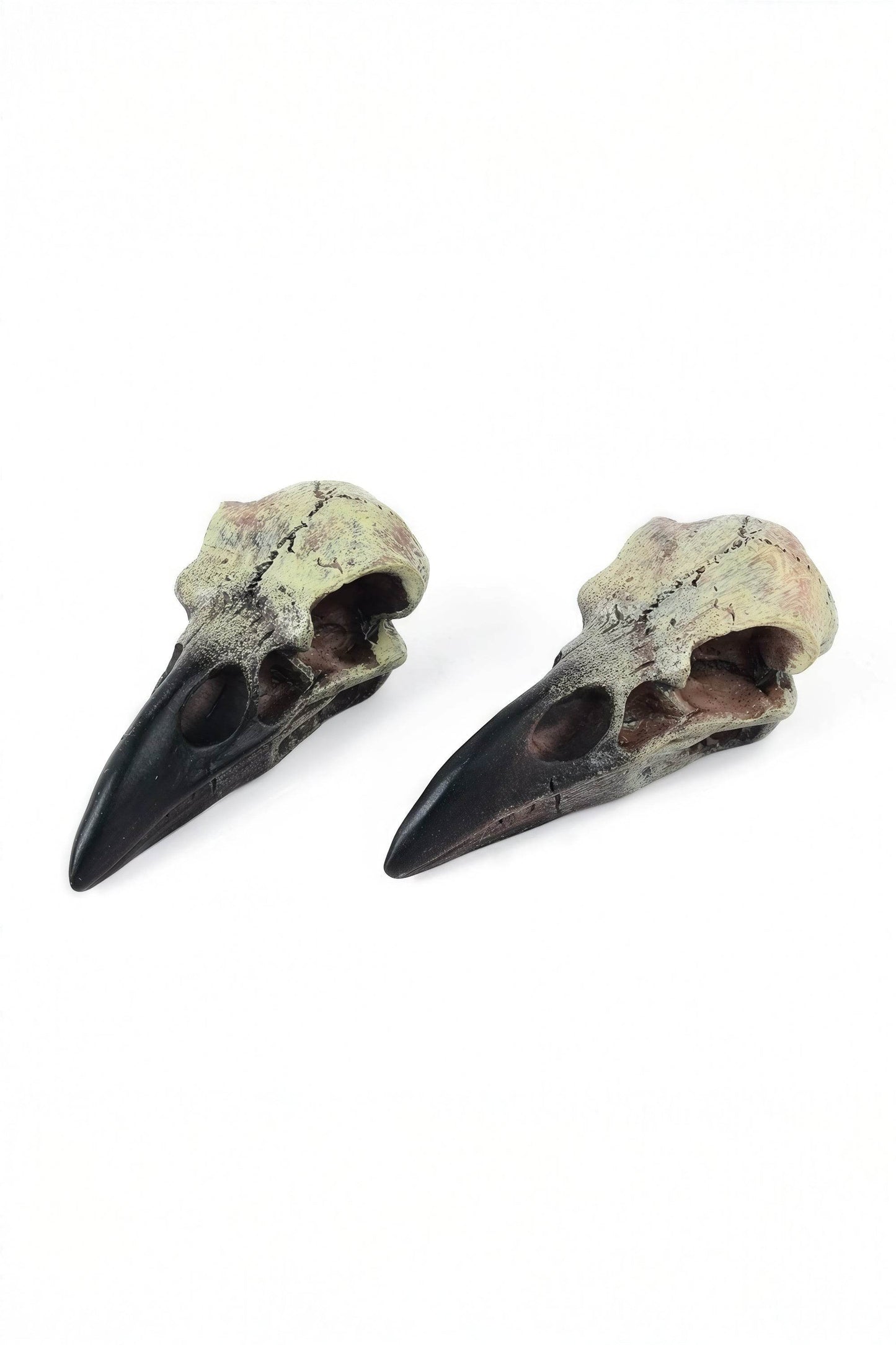 Gothic Raven Skull Pendant Necklace