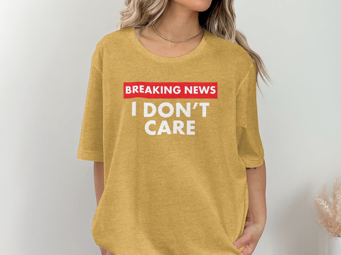 Breaking News I Don't Care Statement Novelty Humor T-Shirt