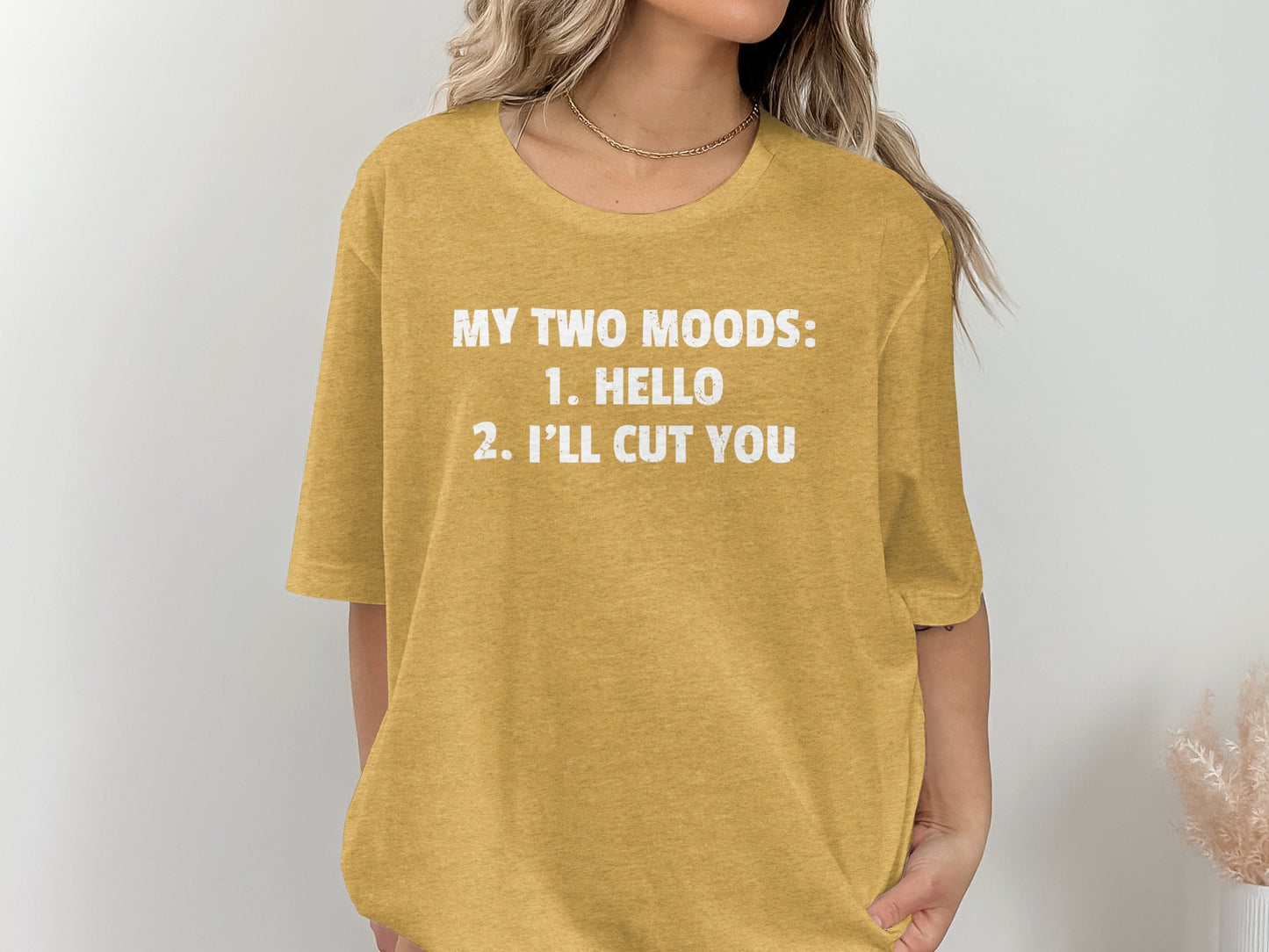My Two Moods Hello I Will Cut You Graphic Funny T-Shirt