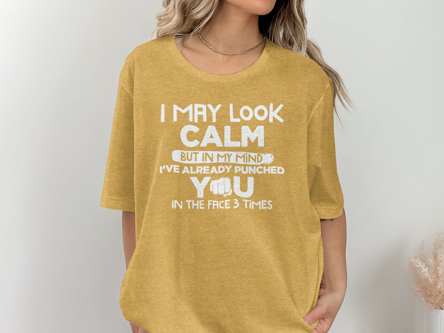 I May Look Calm Already Punched You Funny Graphic T-Shirt