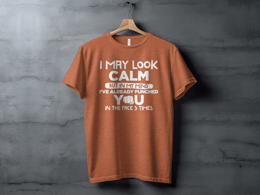 I May Look Calm Already Punched You Funny Graphic T-Shirt