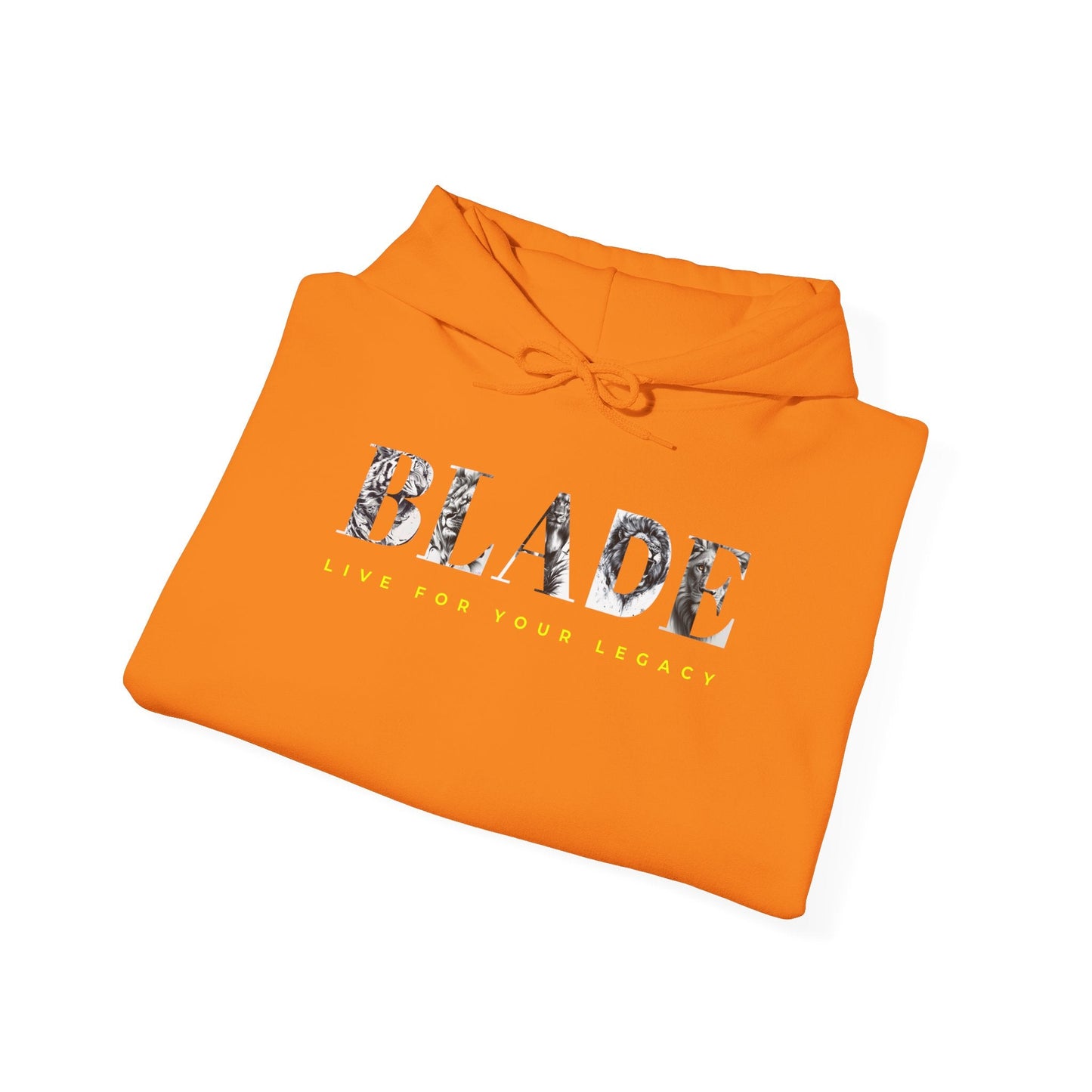 King Essential Lion Version 2 Hoodie