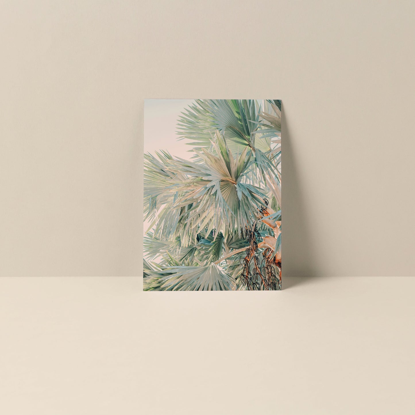 Bismarck Morning #1 - Blank Notecard