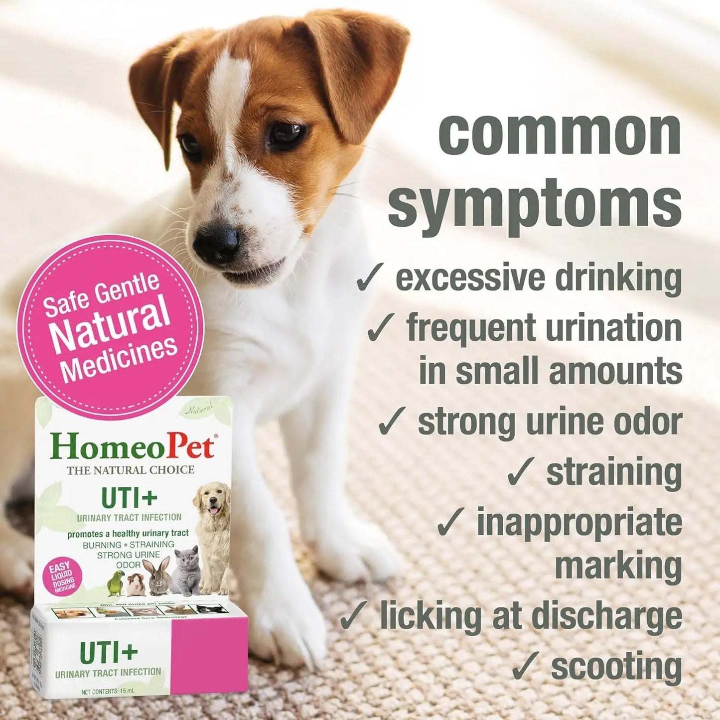 Cat UTI Relief Drops Natural Urinary Tract Support Supplement 15ml
