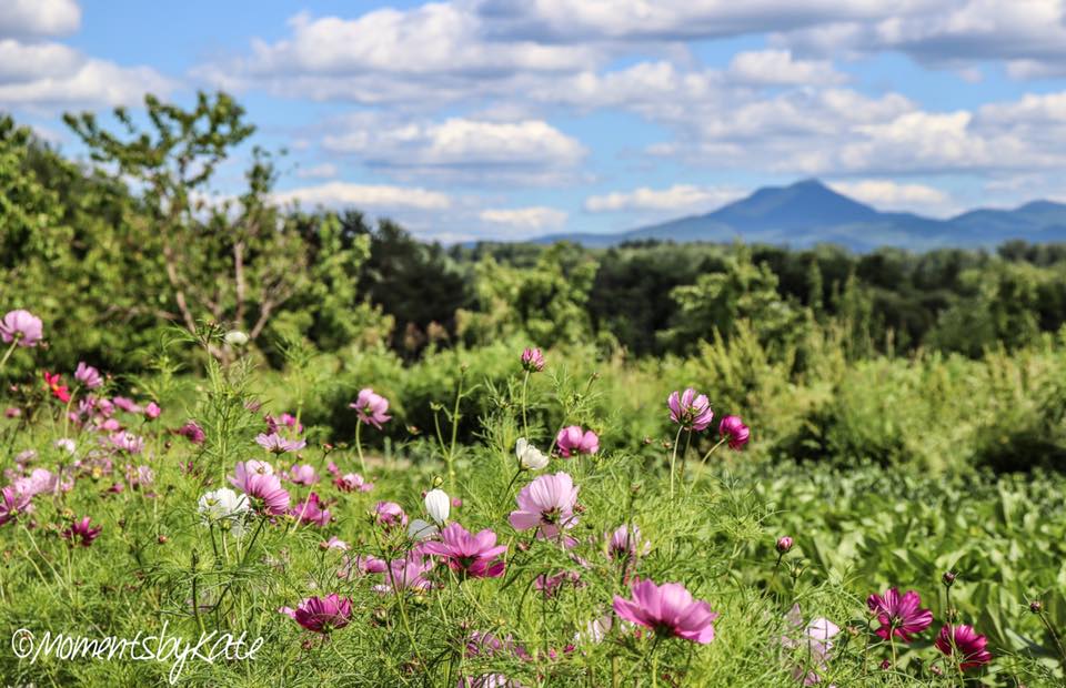 Greeting Cards -Moments By Kate