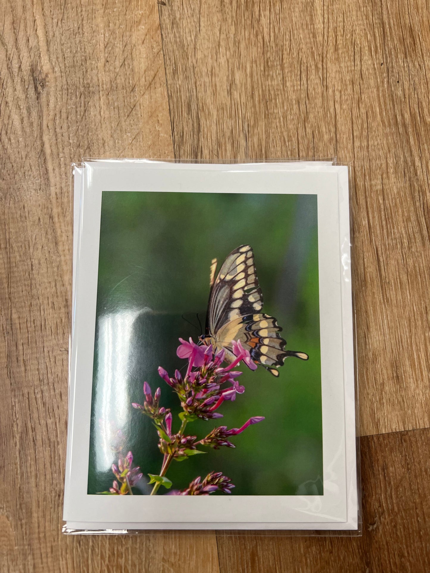 Greeting Cards -Moments By Kate