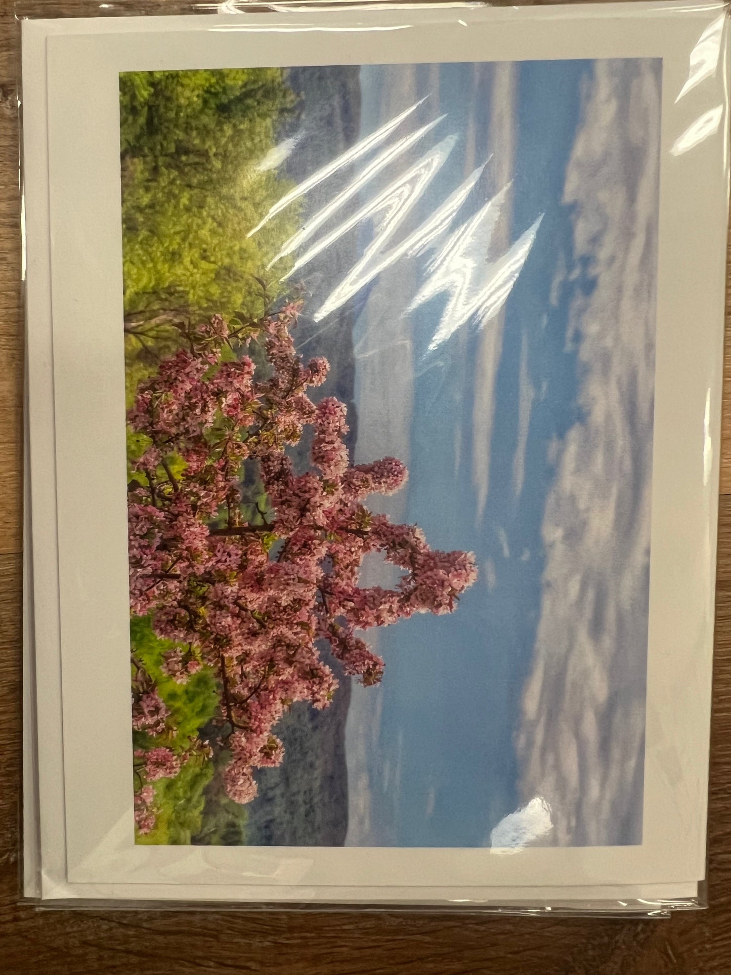 Greeting Cards -Moments By Kate