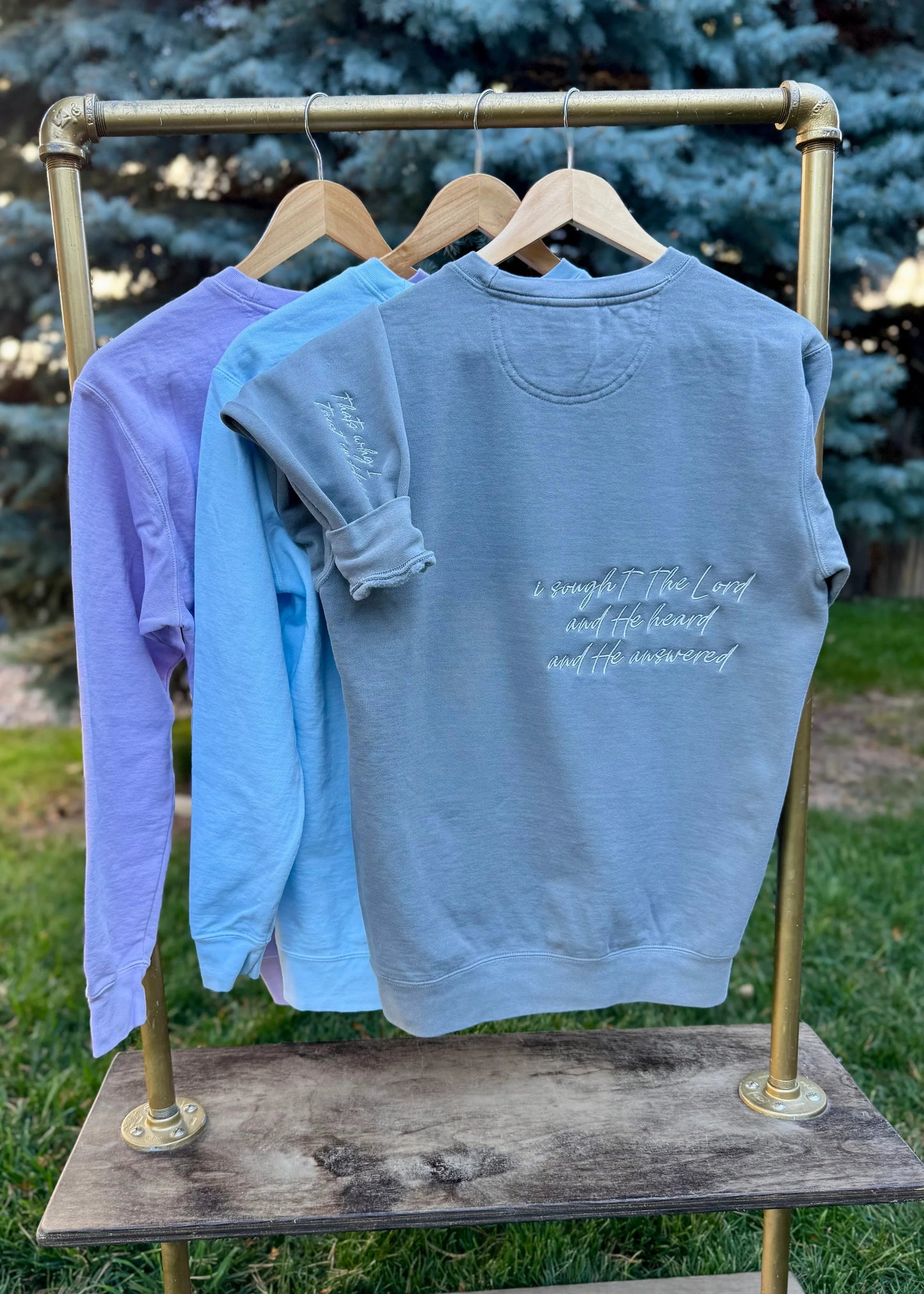 I Sought The Lord And He Heard And He Answered Monochromatic Embroidered Sweatshirt | Comfort Colors Christian Crewneck