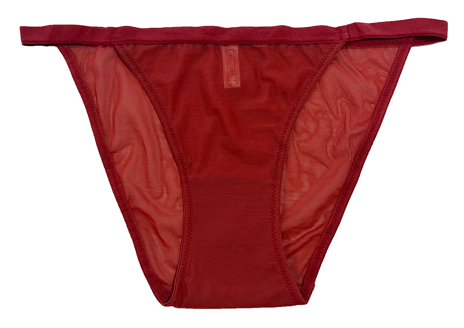 Mesh Bikini with Elastic Waist, XS-2X - Buy More Save More