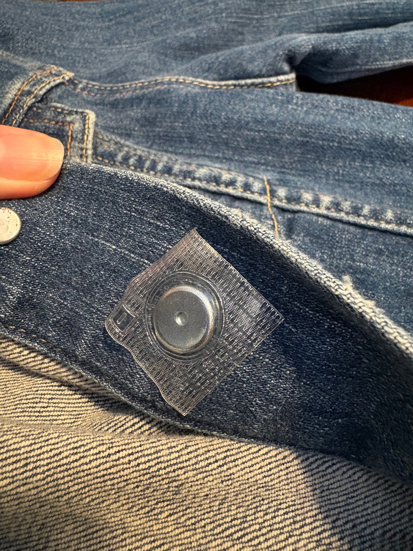 Protest Pets-Wearable Magnet Button