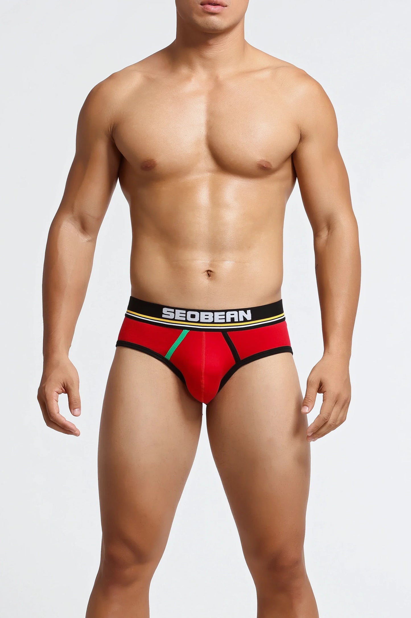 Men’s Low-Rise Cotton Briefs