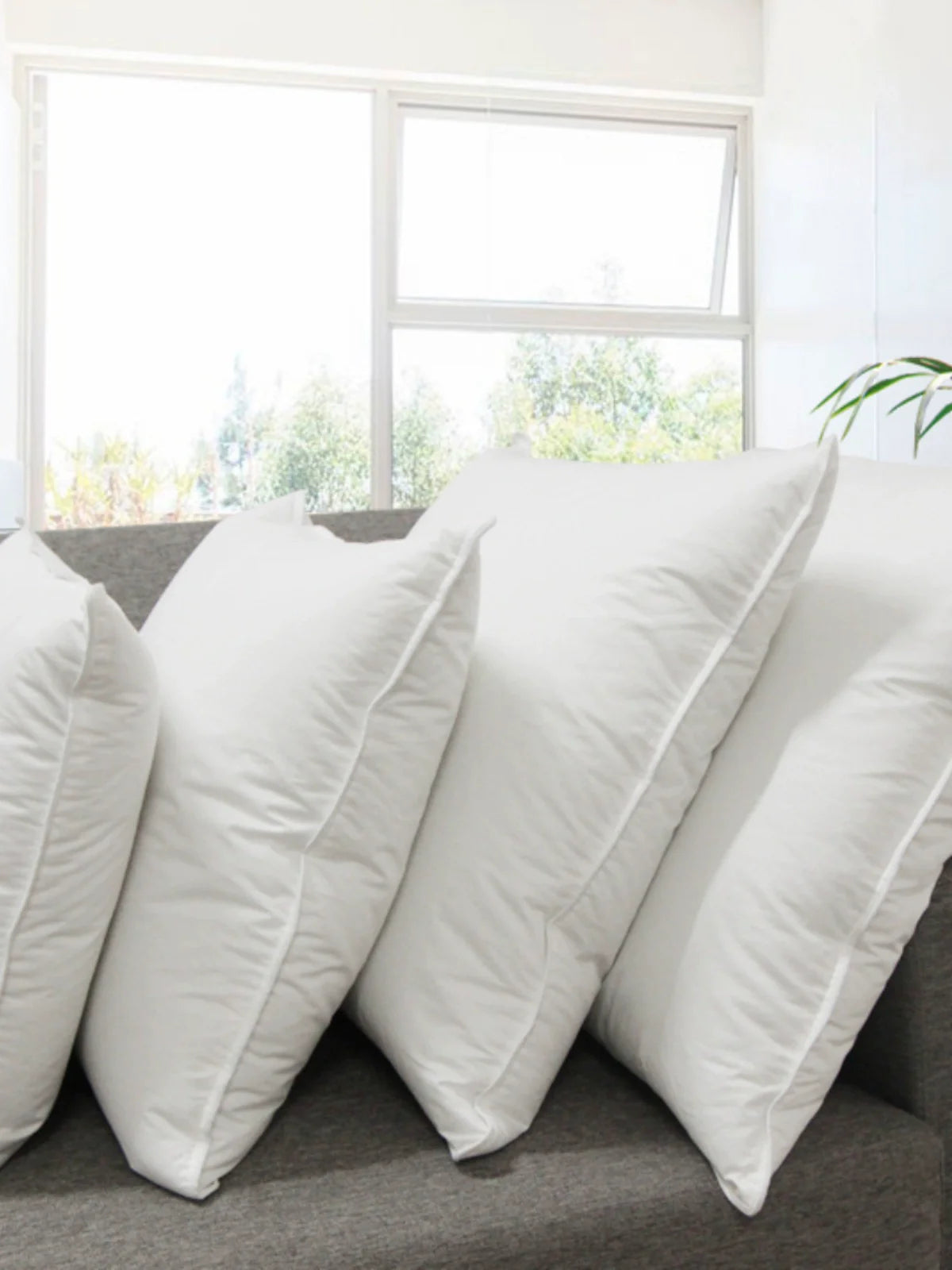 Throw Pillow Filler Goose Feather down Car and Office Sofa