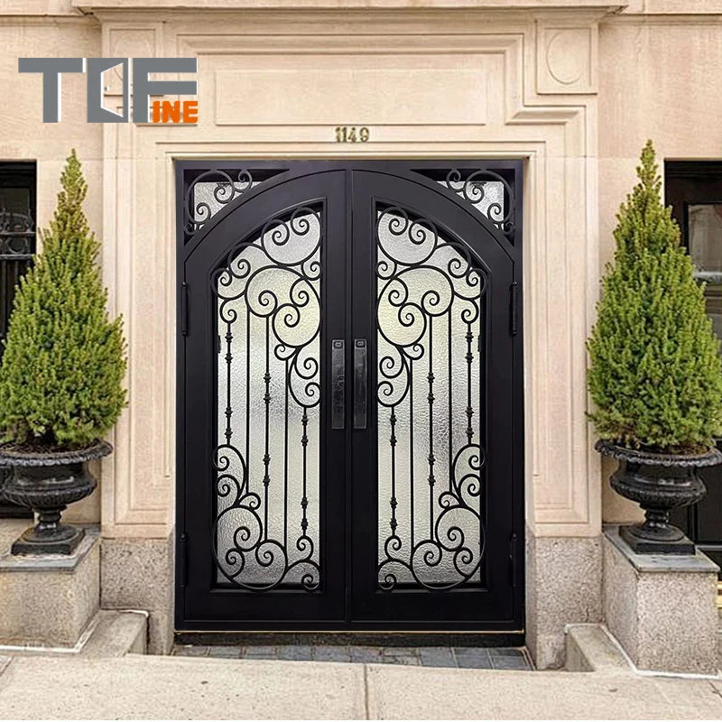 Modern Exterior Wrought Iron Double Luxury Entry Garden Doors for Villa