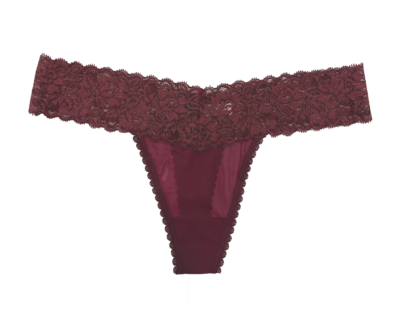 Mesh and Lace Classic Thong XS- 2X - Buy More Save More