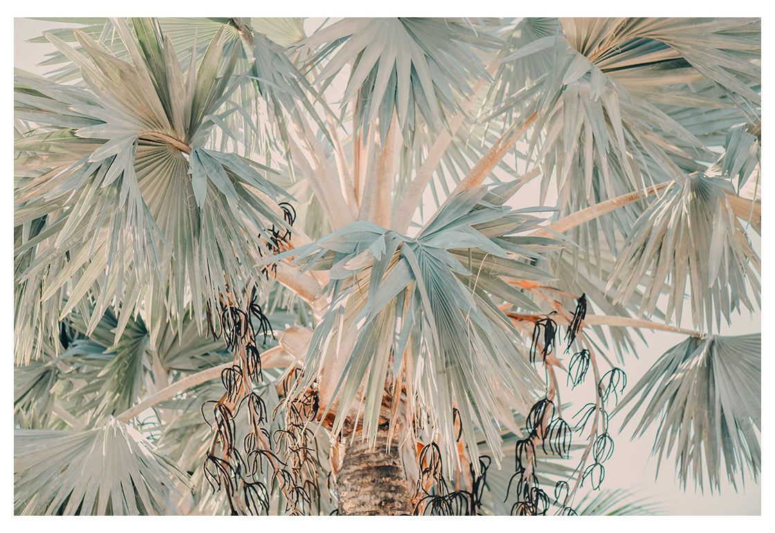 Bismarck Morning #2- Fine Art Photograph