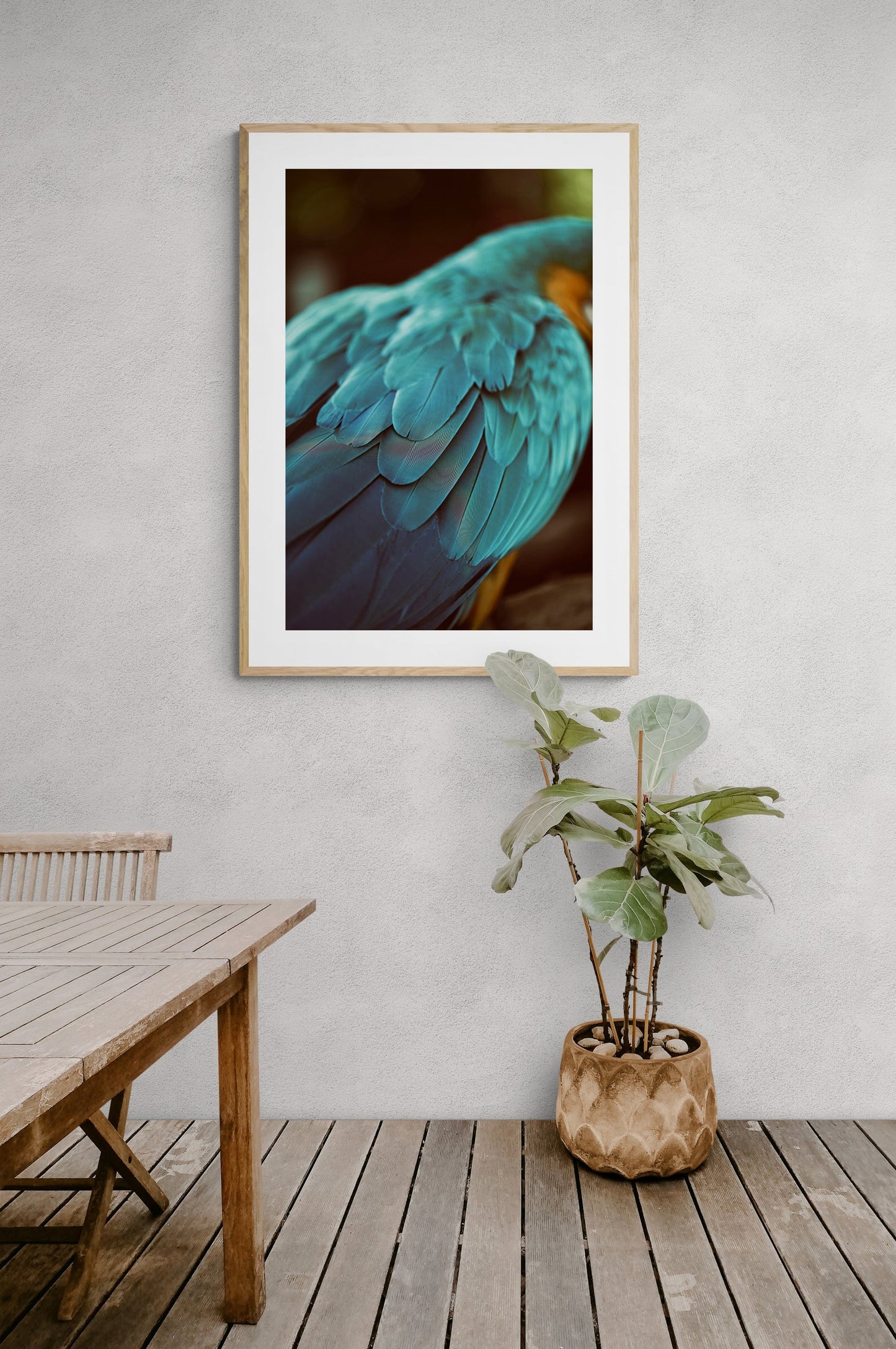 Blue Feathers #4 - Fine Art Photograph