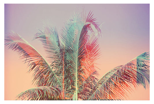 Modern Fine Art Photograph - Pastel Palms #2