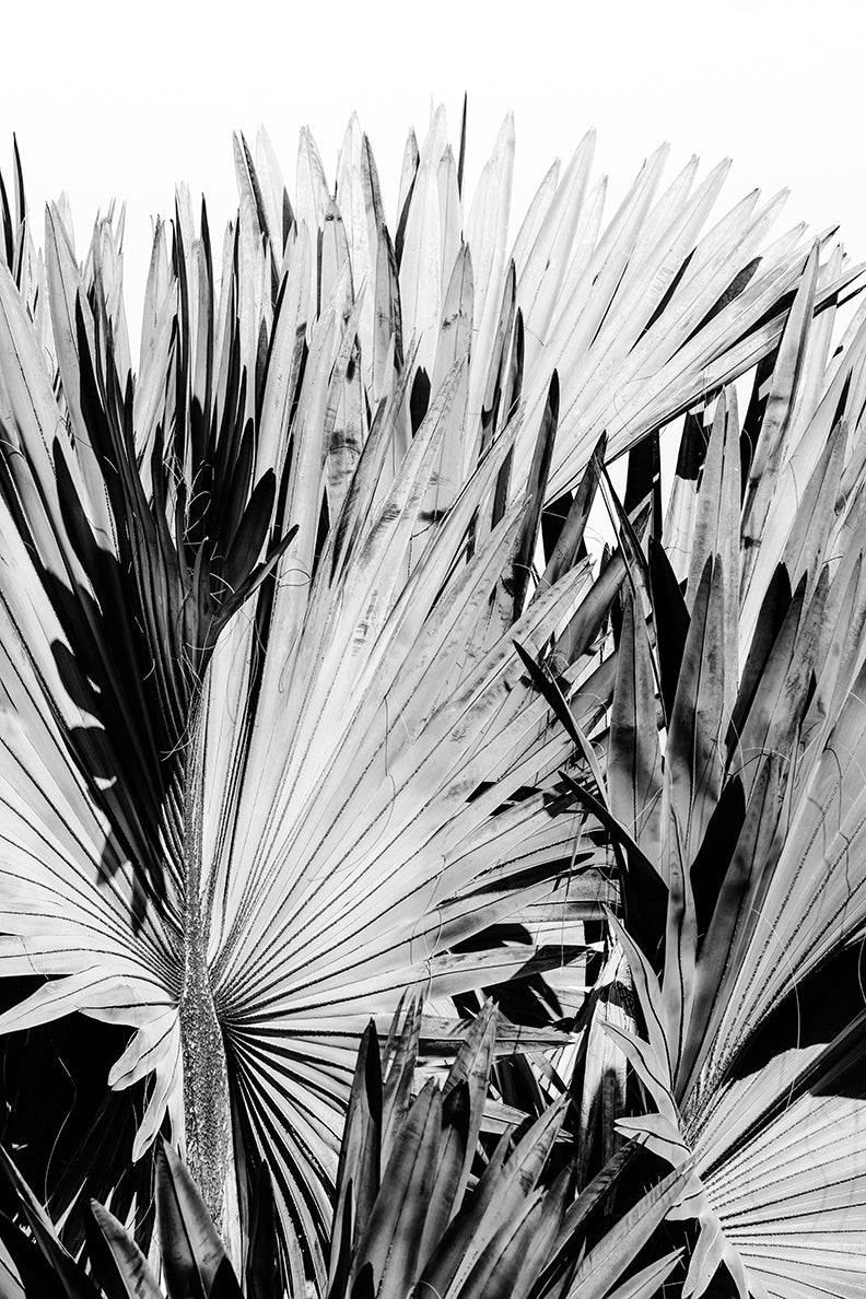 Modern Fine Art Photograph - Silver Skies #3