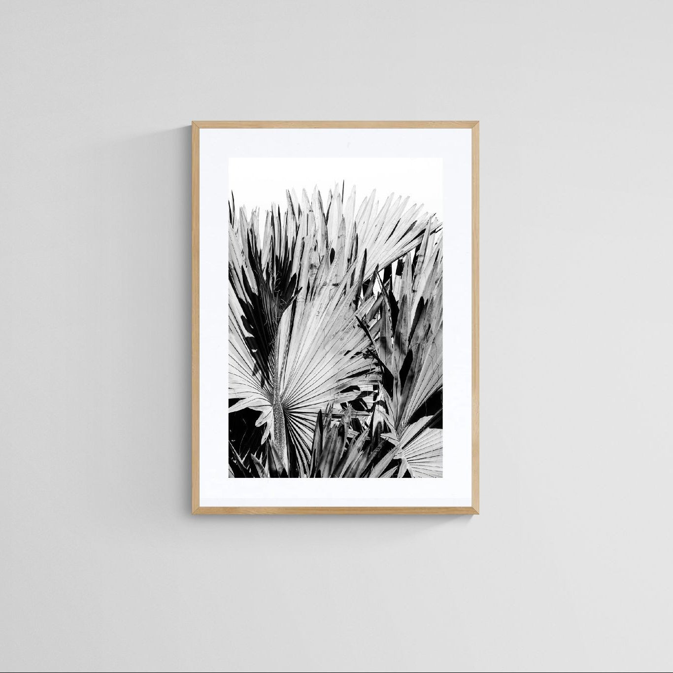 Modern Fine Art Photograph - Silver Skies #3