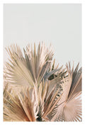 Modern Fine Art Photograph - Spring Palms #1
