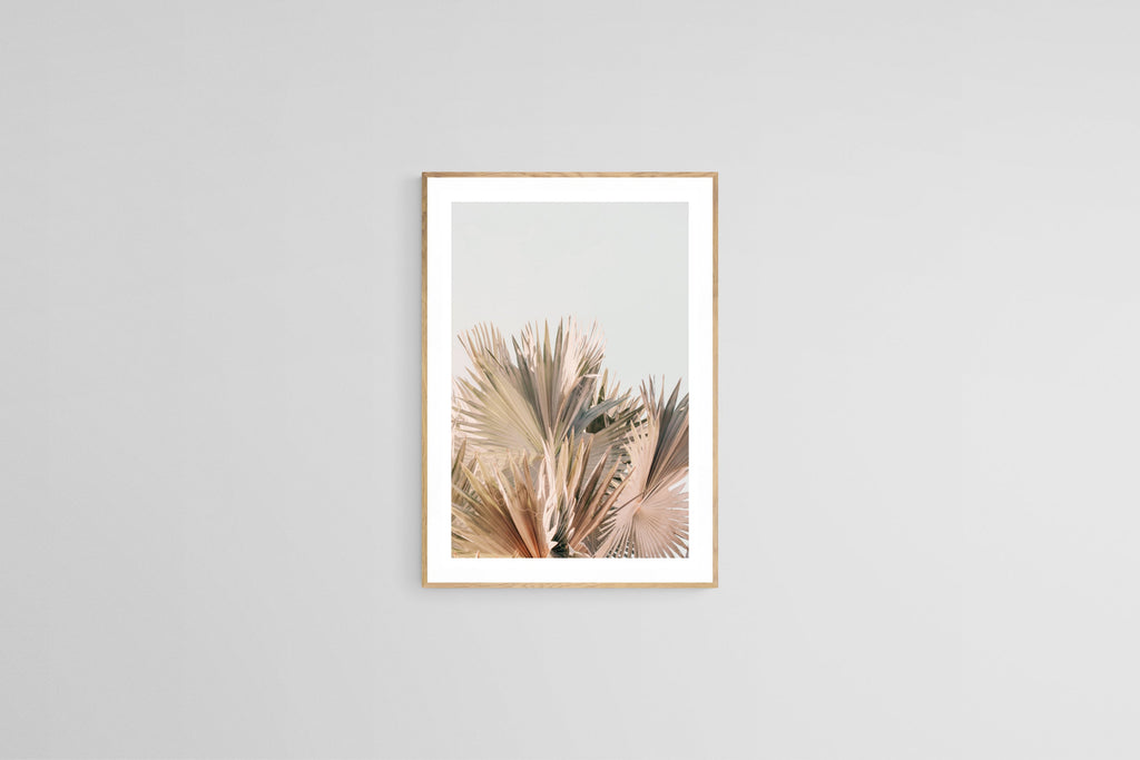 Modern Fine Art Photograph - Spring Palms #1