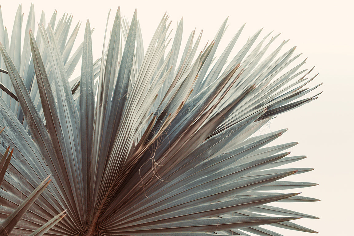 Modern Fine Art Photograph - This Side Of Summer