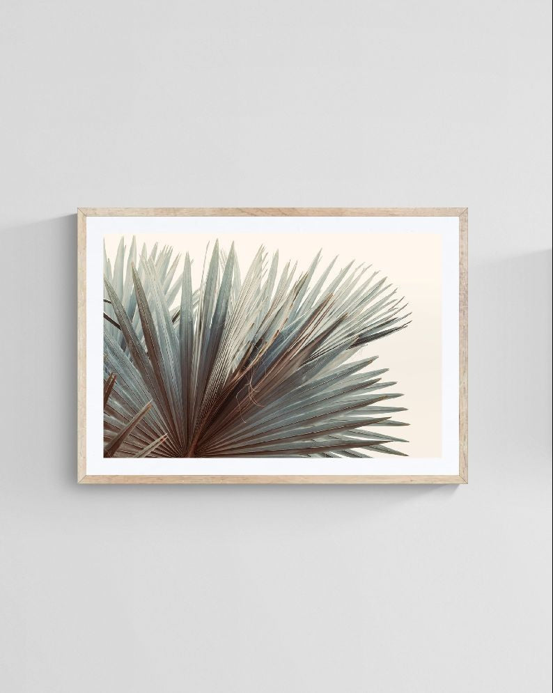 Modern Fine Art Photograph - This Side Of Summer