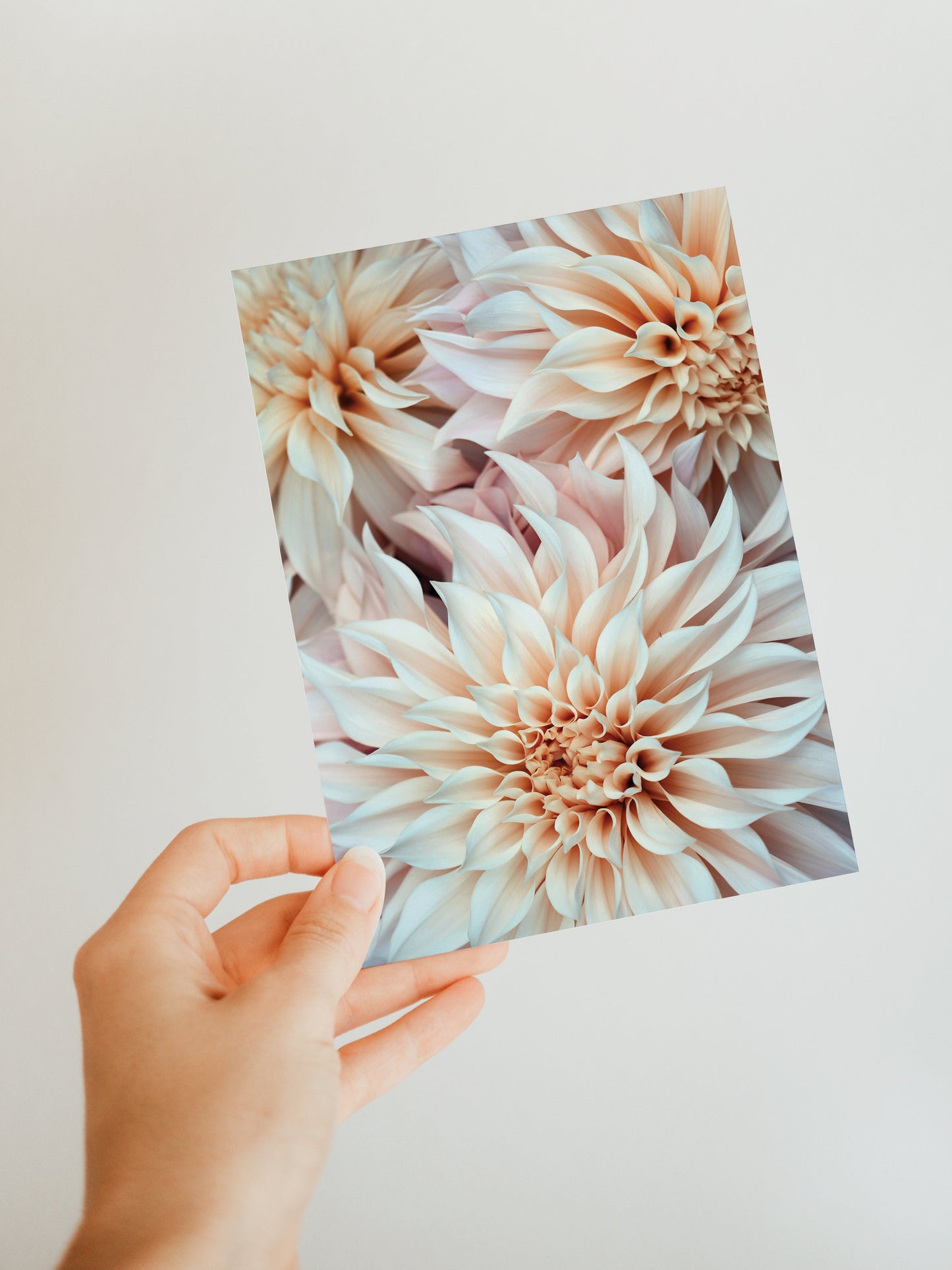 Cafe Au Lait - Blank Note Card