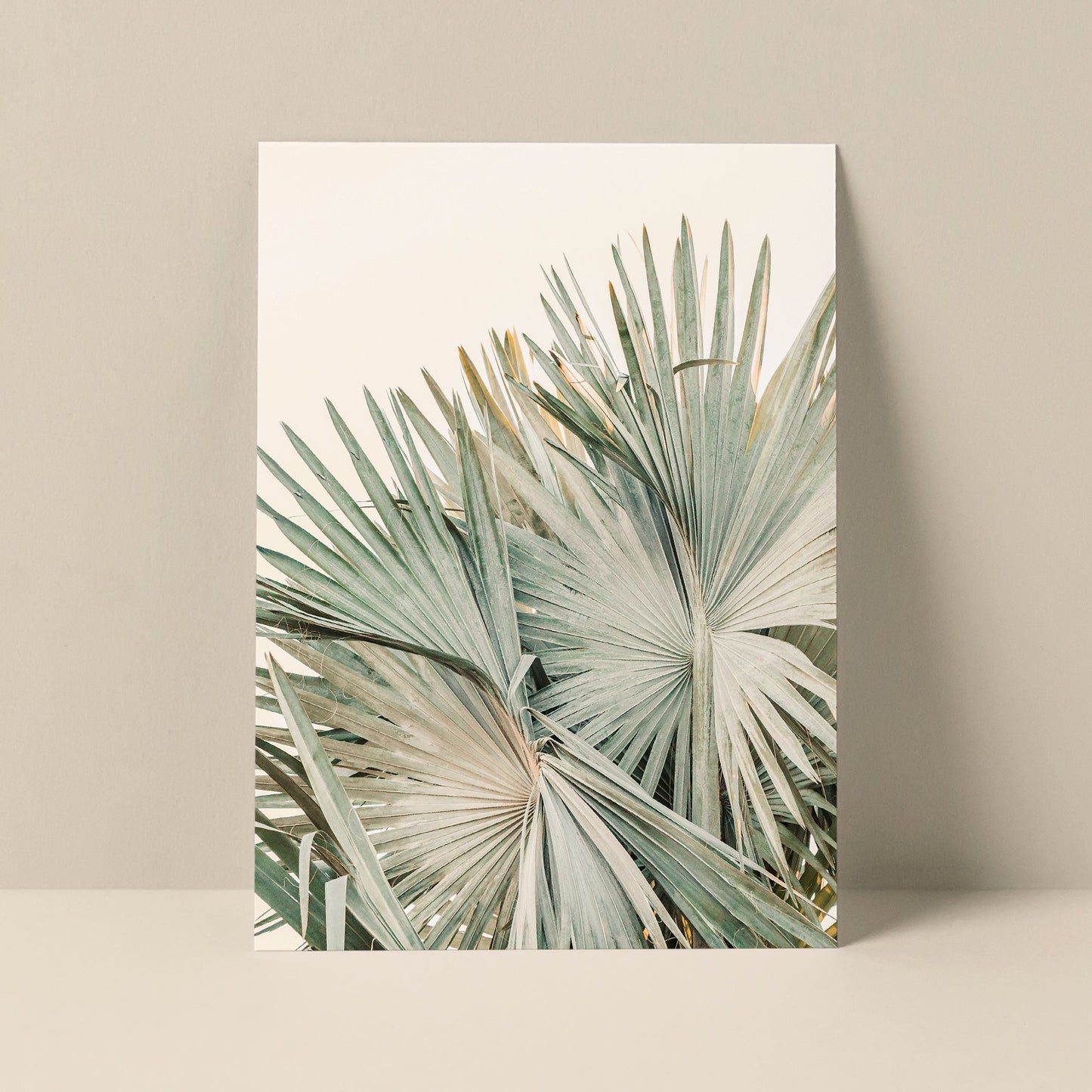 Blank Photography Note Card - Closer