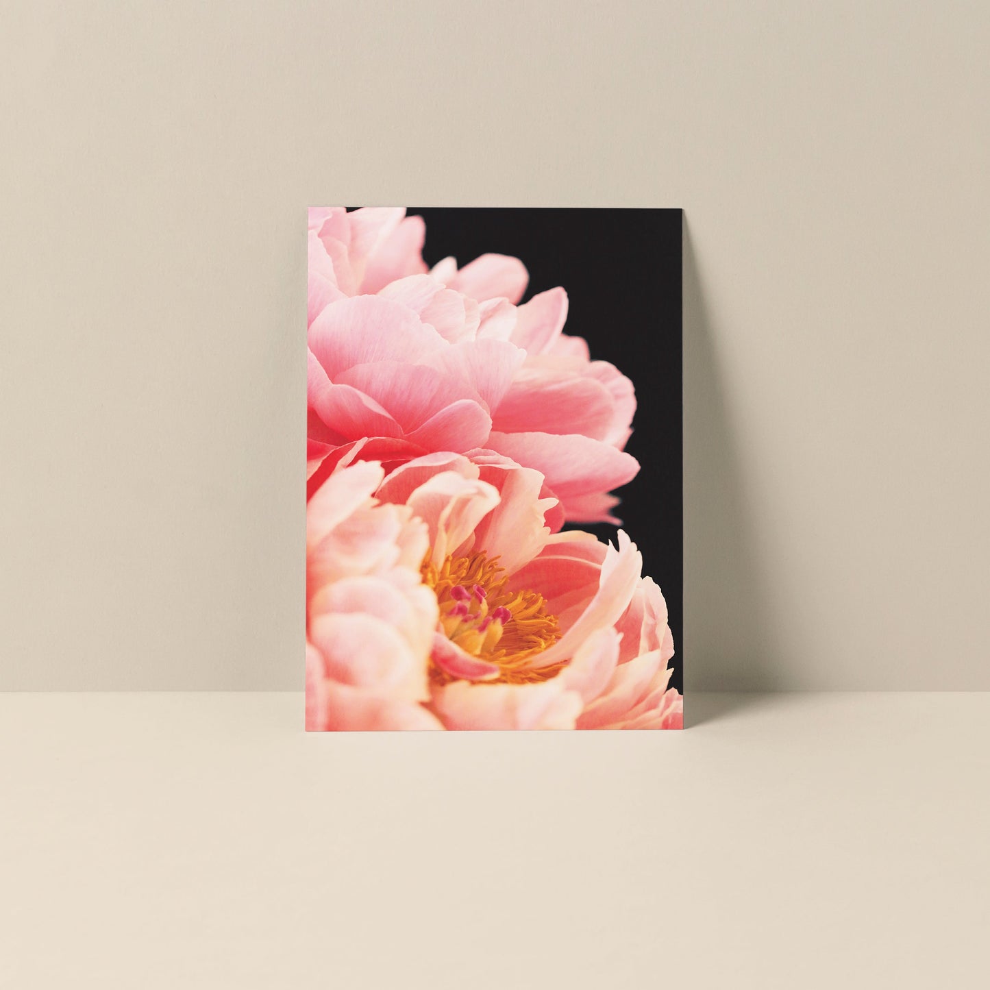 Blank Notecard - Haute Couture #1
