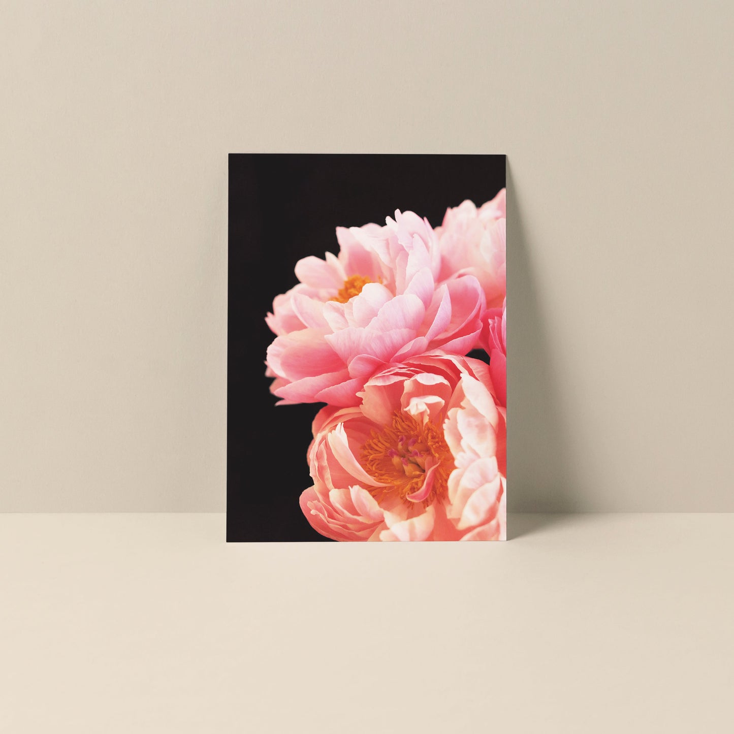 Blank Notecard - Haute Couture #2