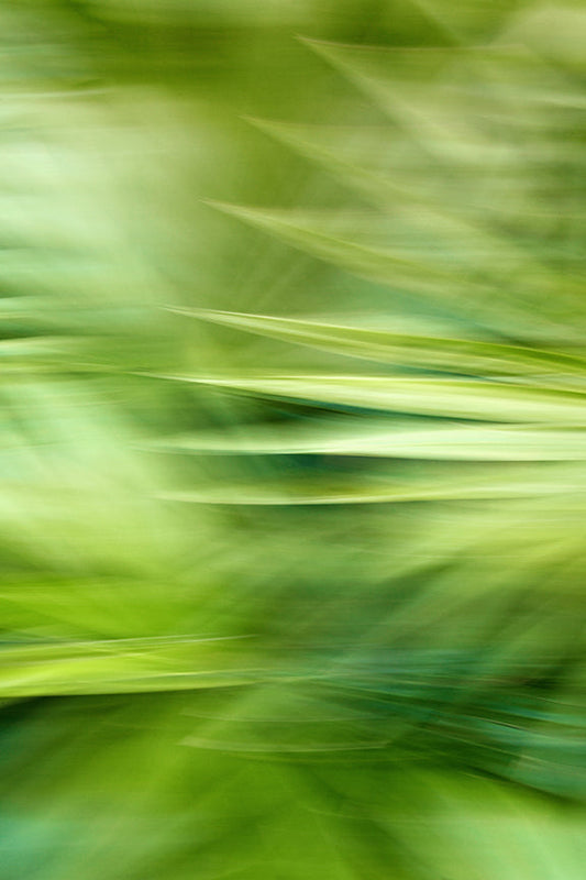 Modern Fine Art Abstract Photograph - In A September Breeze