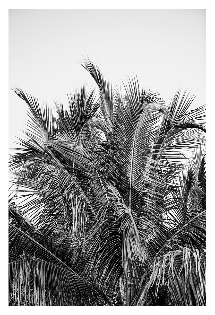 Modern Black And White Photograph - No. 13