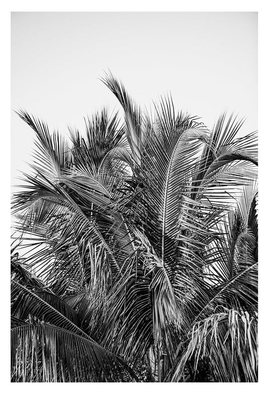 Modern Black And White Photograph - No. 13