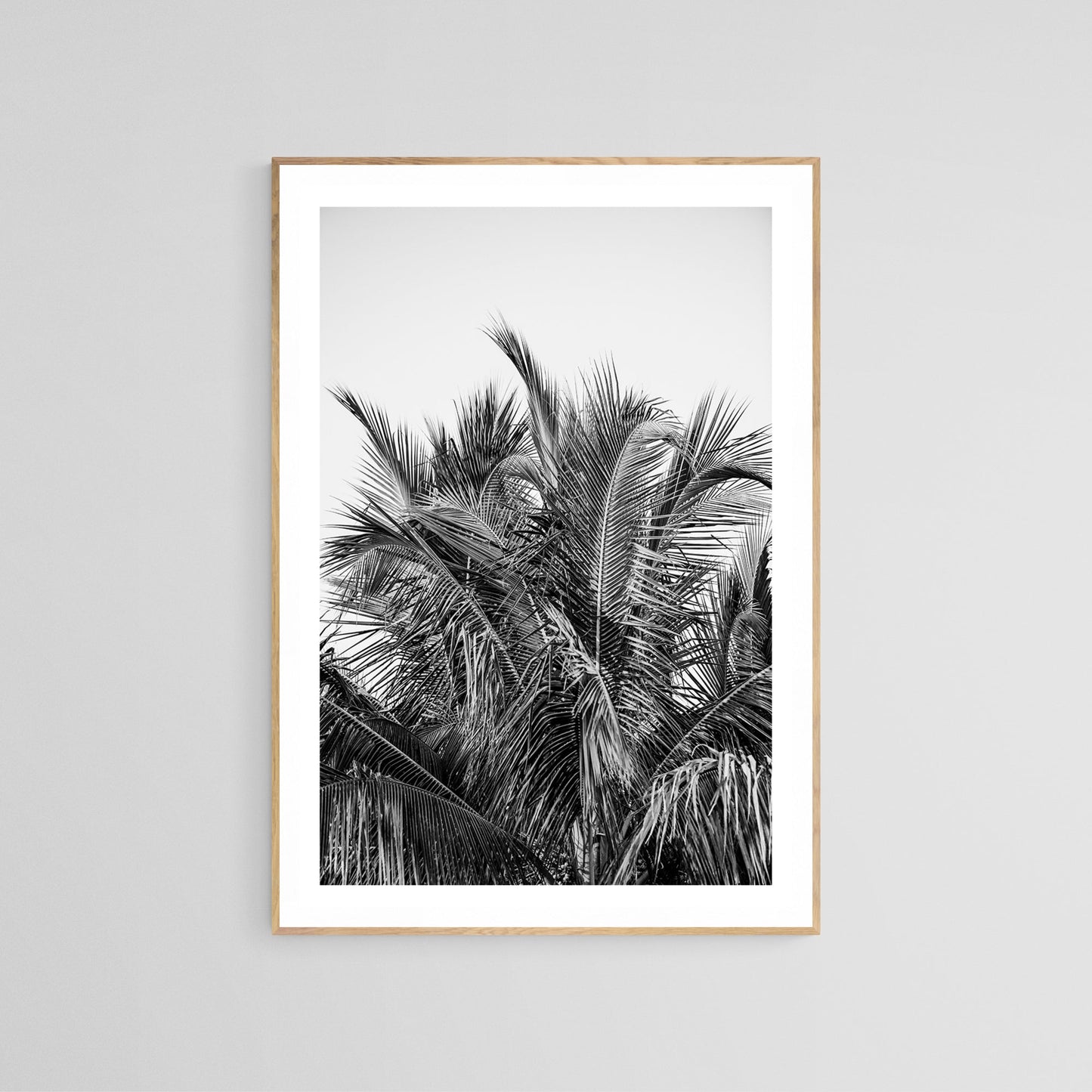 Modern Black And White Photograph - No. 13