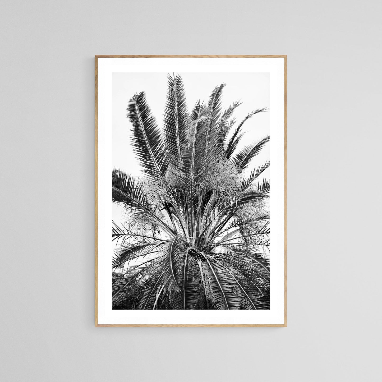 Modern Black And White Photograph - No. 15