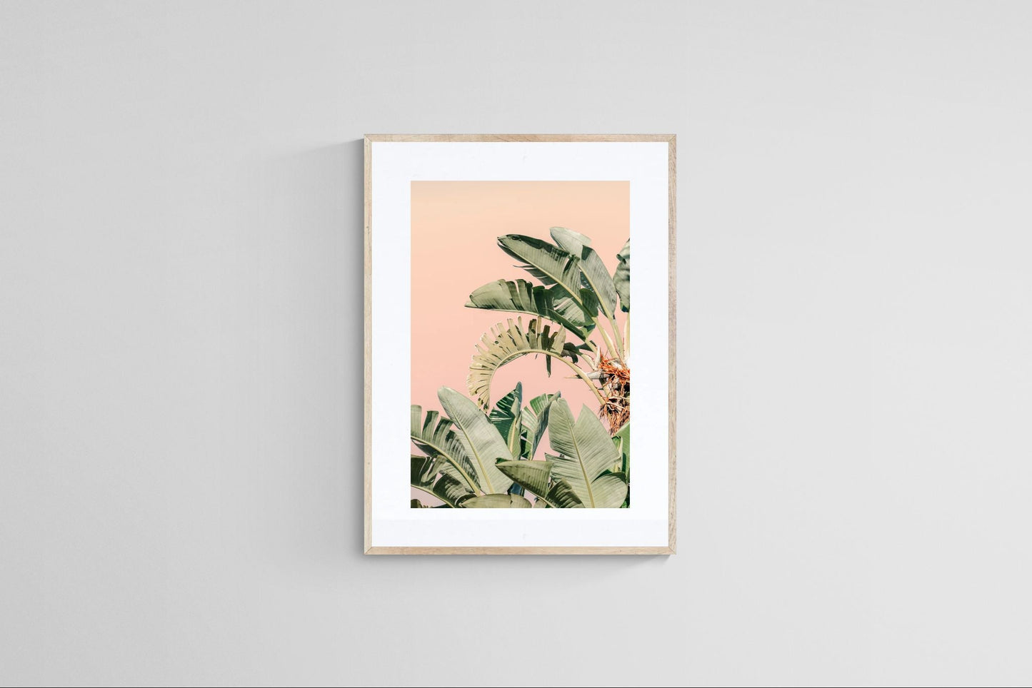 Modern Fine Art Photograph - Palm Beach #2