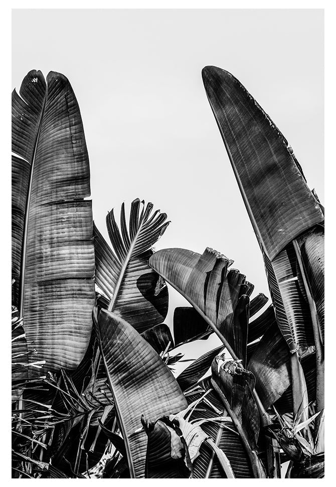 Modern Fine Art Photograph - Silver Skies #1