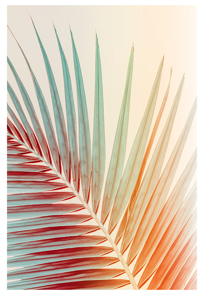 Modern Fine Art Photograph - Spring Palm