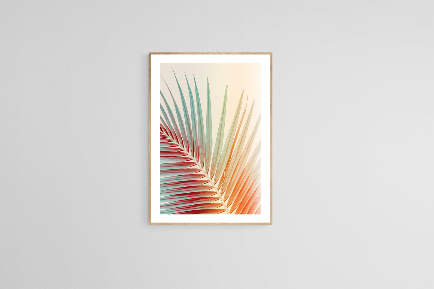 Modern Fine Art Photograph - Spring Palm