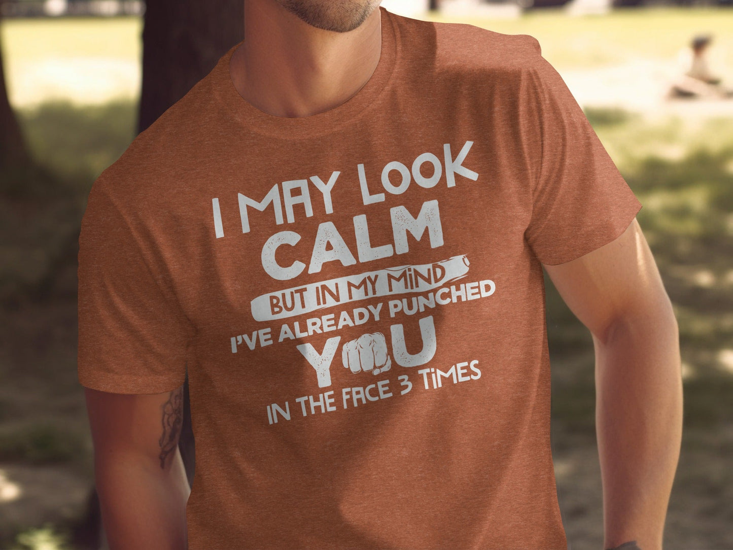 I May Look Calm Already Punched You Funny Graphic T-Shirt