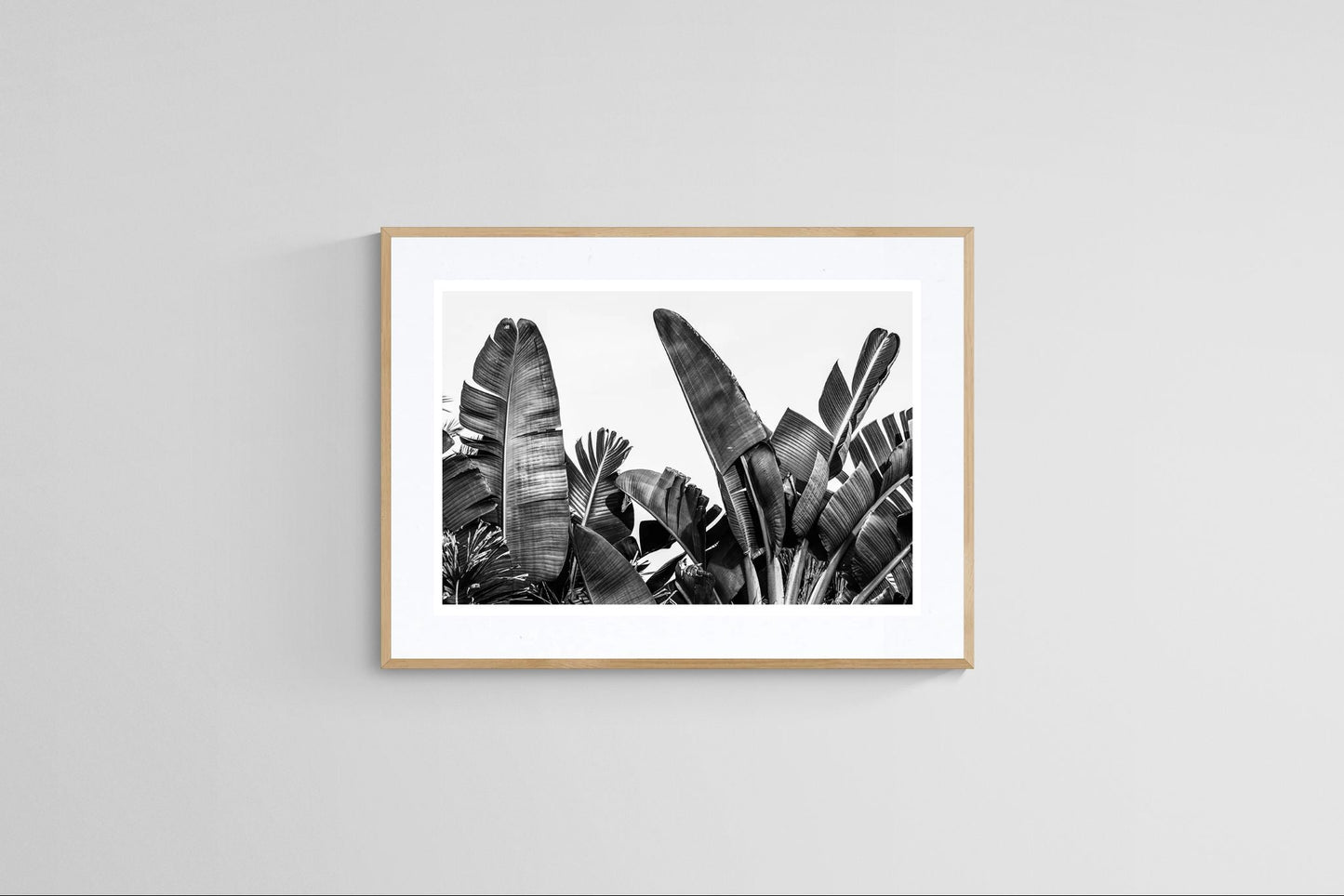 Modern Fine Art Photograph - Silver Skies #2
