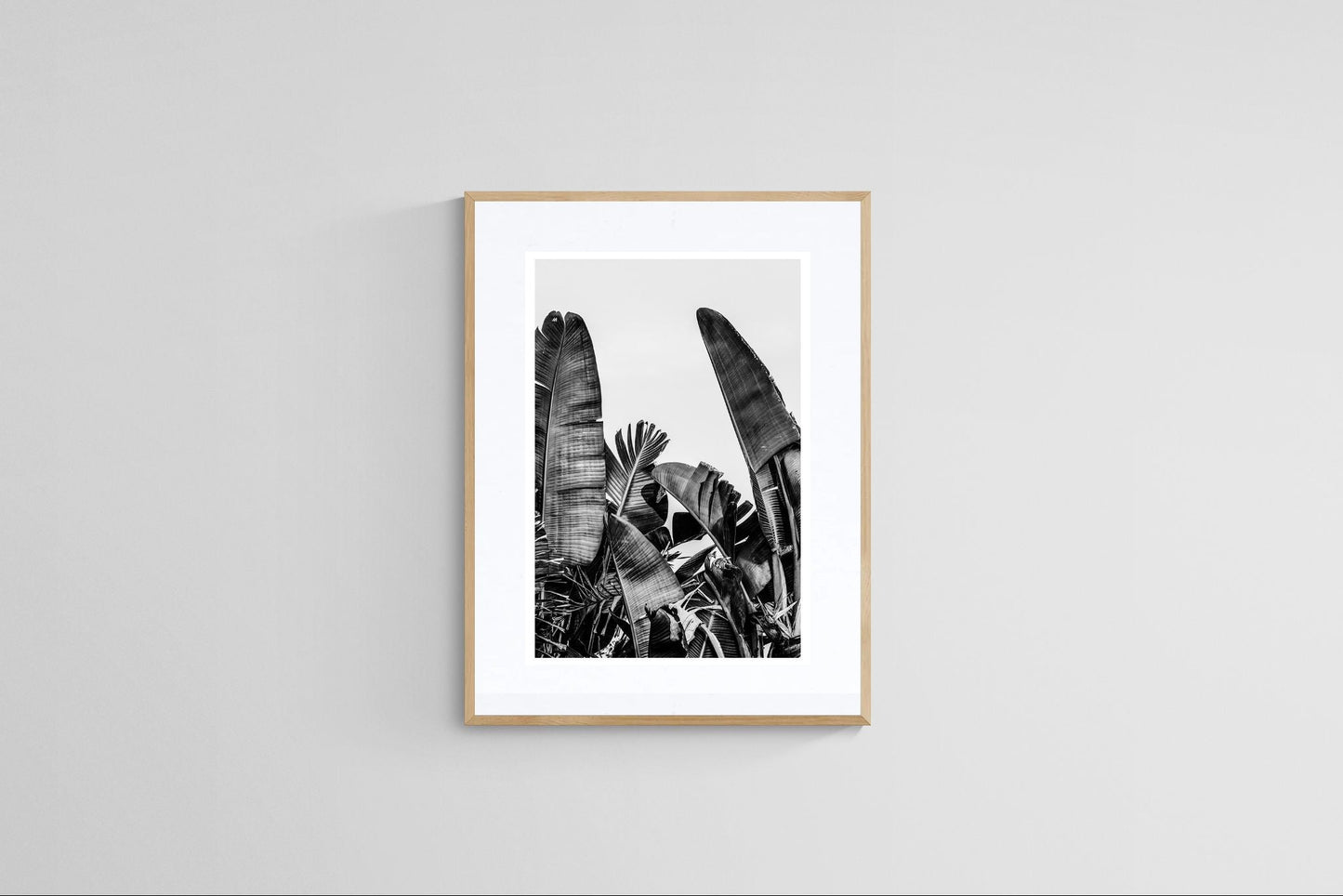 Modern Fine Art Photograph - Silver Skies #1