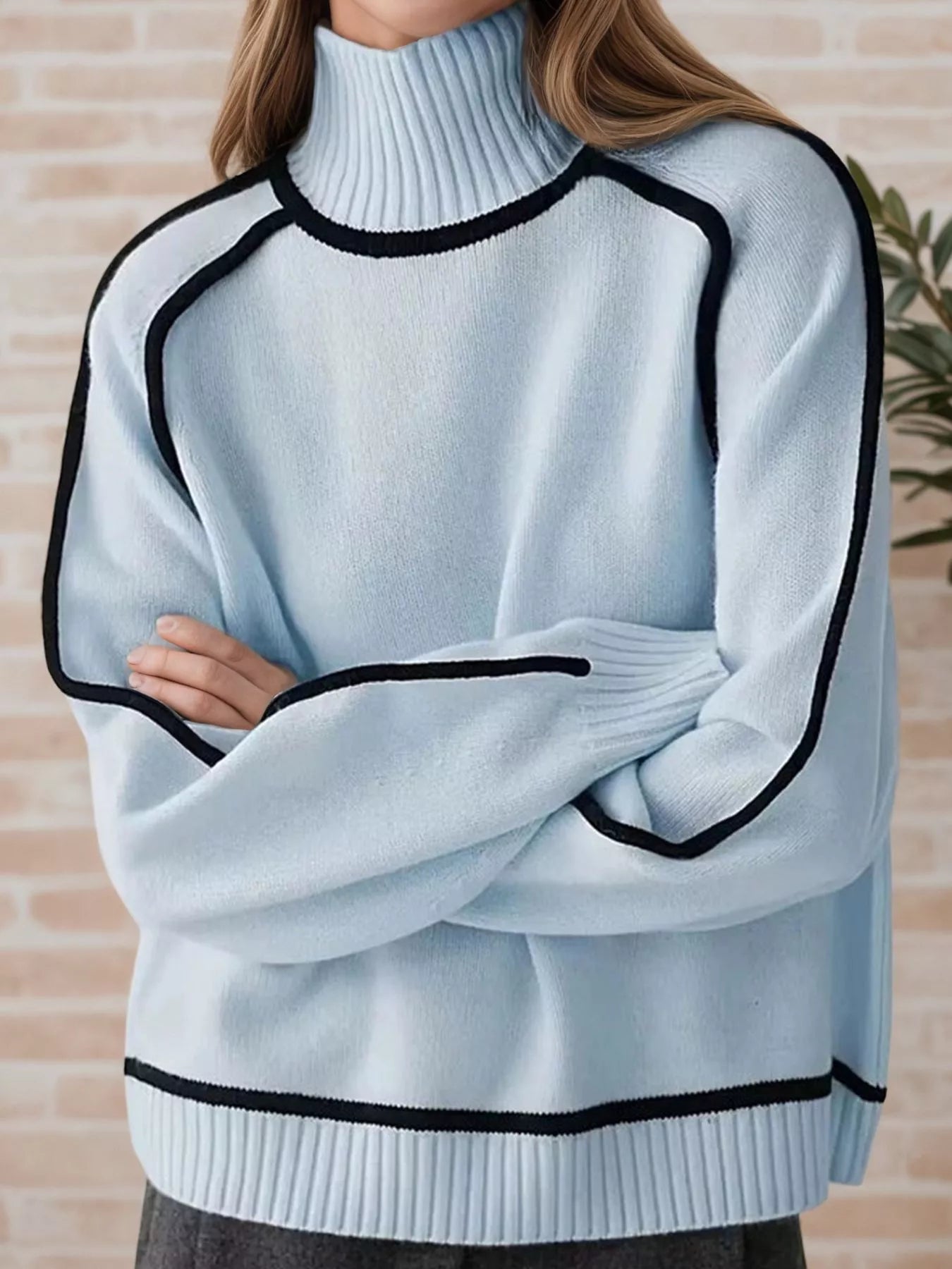 Contrast Trim Turtleneck Sweater