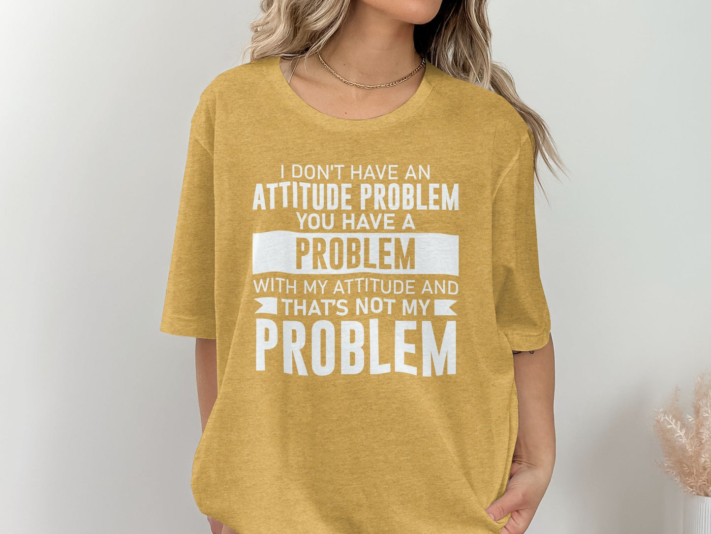 I Don't Have An Attitude Problem Funny Sarcastic T-Shirt