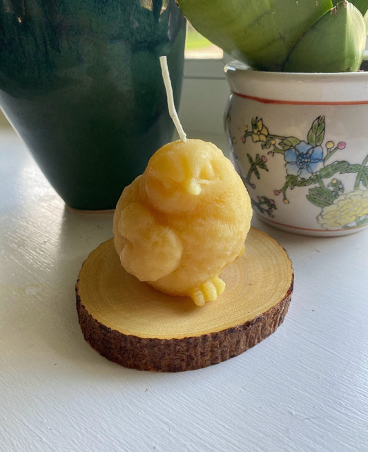 Birdy Perched Beeswax Candle