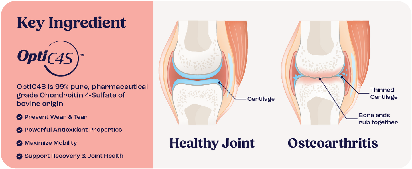 Cat Joint Supplement Chondroitin Mobility Support Natural Formula